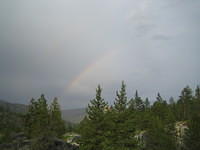 IMG_1661.jpg