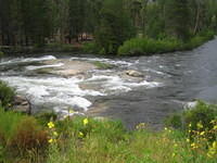 IMG_1665.jpg