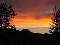IMG_1672.jpg