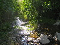 IMG_6144.jpg