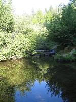 IMG_6145.jpg