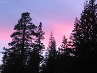 IMG_6149.jpg