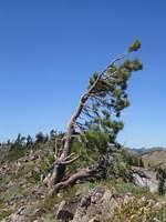 IMG_6174.jpg