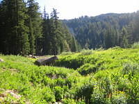 IMG_6176.jpg