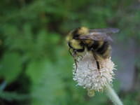 IMG_6210.jpg