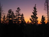 IMG_6220.jpg