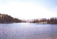 17March020.jpg