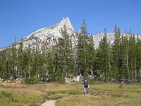 IMG_4019.jpg