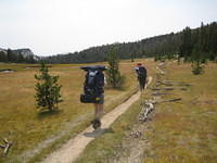 IMG_4040.jpg