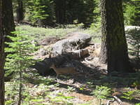 IMG_4062.jpg