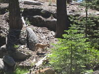 IMG_4063.jpg