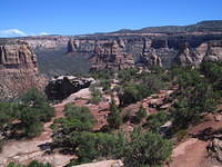 IMG_7264.JPG