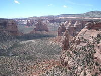 IMG_7295.JPG