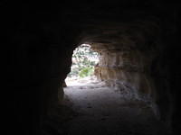IMG_7312.JPG
