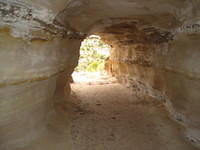 IMG_7313.JPG