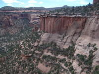 IMG_7321.JPG