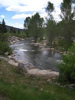IMG_7336.JPG