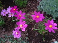 IMG_7354.JPG
