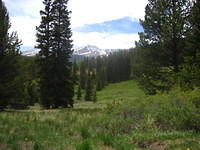 IMG_7365.JPG