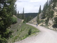IMG_7375.JPG