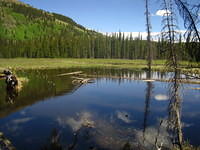 IMG_7399.JPG