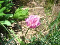 IMG_7437.JPG