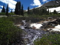 IMG_7441.JPG