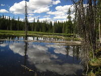 IMG_7502.JPG