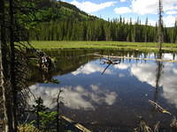 IMG_7503.JPG