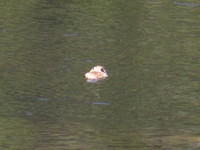 IMG_7510.JPG