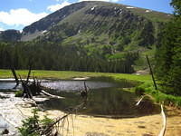 IMG_7515.JPG