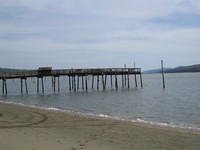 IMG_1027.jpg