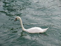 IMG 5434