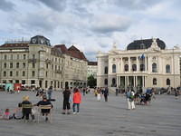 IMG 5462