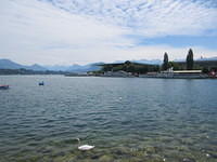 IMG 5514