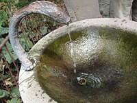IMG 5547