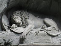 IMG 5548