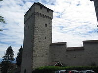 IMG 5554