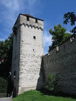IMG 5570