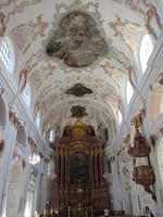 IMG 5584