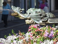 IMG 5609