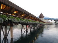 IMG 5631