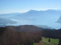 IMG 5678
