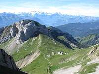 IMG 5688