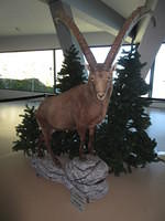 IMG 5693