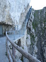 IMG 5709