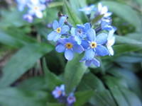 IMG 5719