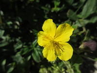 IMG 5735