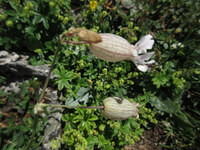 IMG 5737
