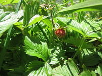IMG 5769